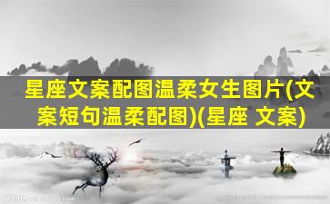 星座文案配图温柔女生图片(文案短句温柔配图)(星座 文案)